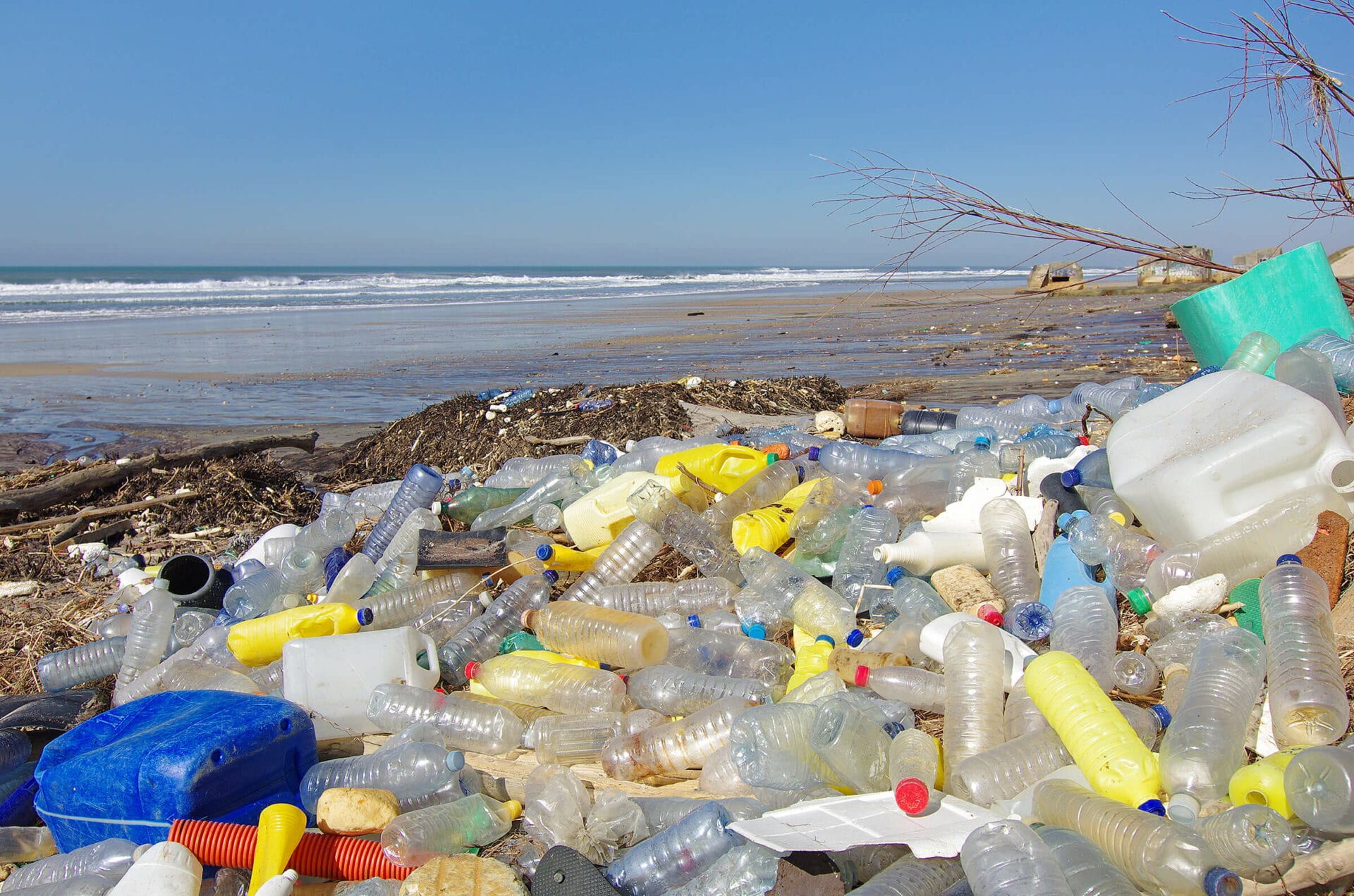Image of plastics debris